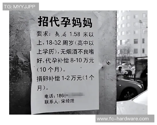 代怀博:探索现代社会中代孕服务的伦理与法律挑战 代怀博:探索现代社会中代孕服务的伦理与法律挑战