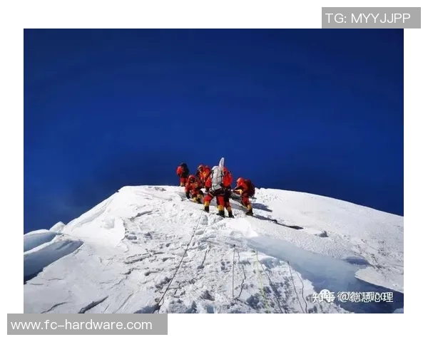 成都羽毛球队的团队协作精神与竞技表现的深度探讨